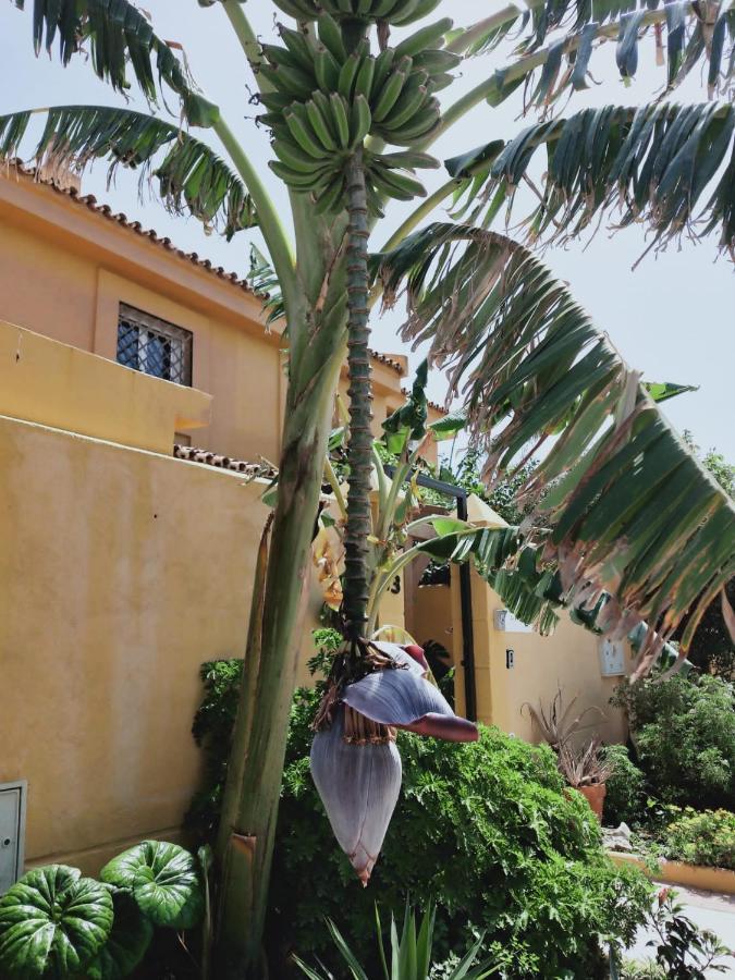 Dudi'S Peppers Lejlighed Málaga Eksteriør billede